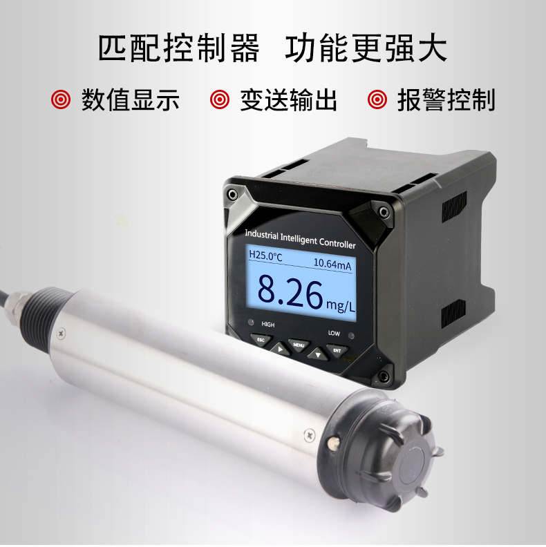 多功能溶解氧在線檢測(cè)儀