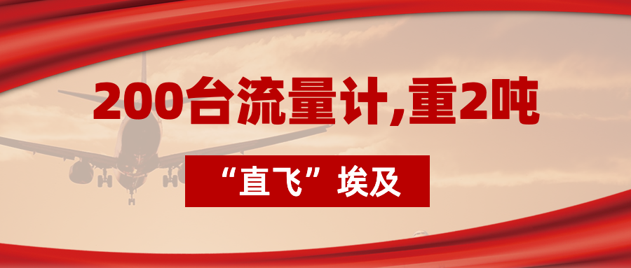 200臺流量計“直飛”埃及，重2噸<div   id=